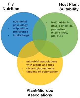 The Protein Paradox: Elucidating the Complex Nutritional Ecology of the Invasive Berry Pest, Spotted-Wing Drosophila (Diptera: Drosophila suzukii)